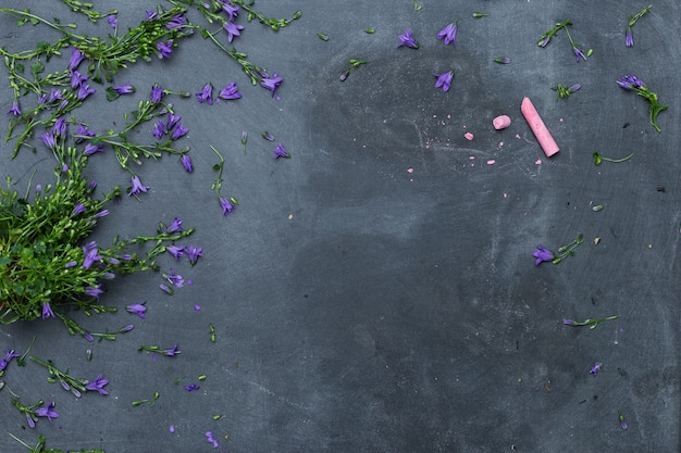 High angle shot of purple flowers spread on a black surface with a pink chalk