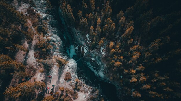 High angle shot of a river going through a tropical forest full of trees