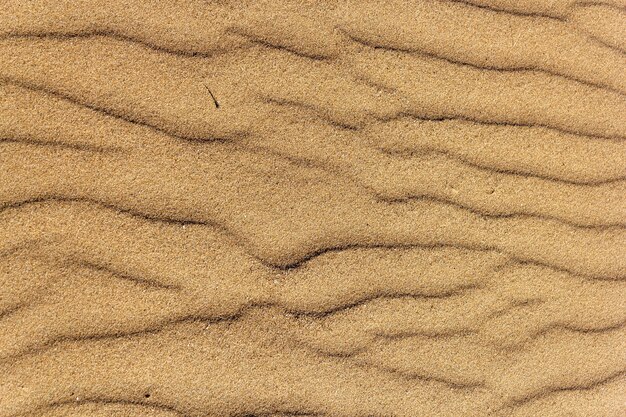 High angle shot of a rough golden beach sand texture