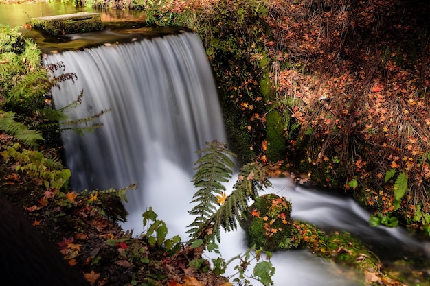 Free Photo high angle shot of a waterfall in a forest in karuizawa. tokyo, japan