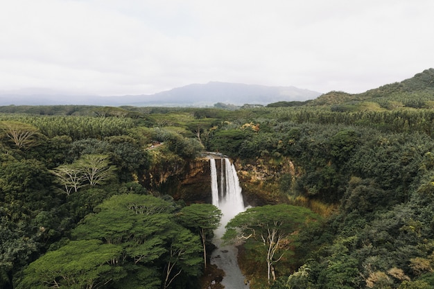 High angle shot of waterfalls in the forest