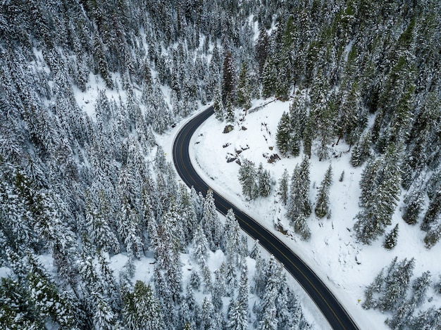 Free photo high angle shot of a winding highway in a forest of spruces covered with snow in winter