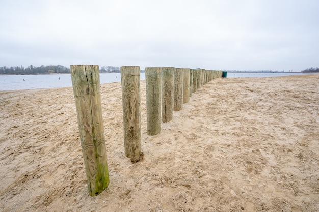 Free Photo high angle shot of wooden breakwater poles on a beach sand