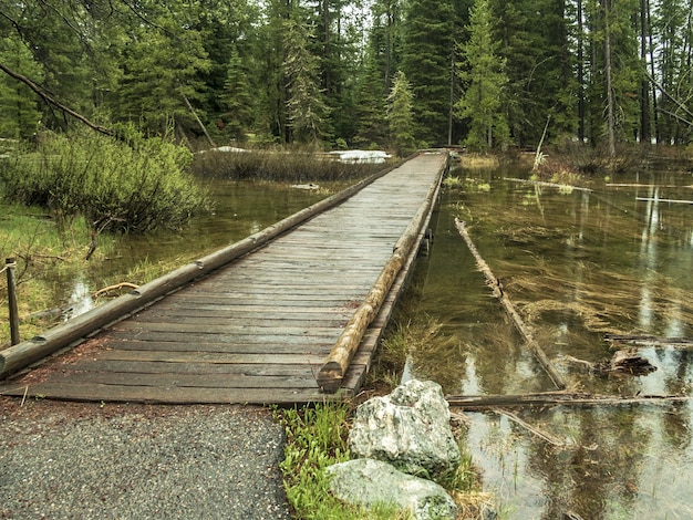 Free Photo high angle shot of a wooden bridge in the lake in the grand teton national park, usa