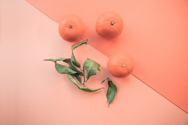 Free Photo high angle symmetric shot of three fresh mandarines and their green leaves on orange background