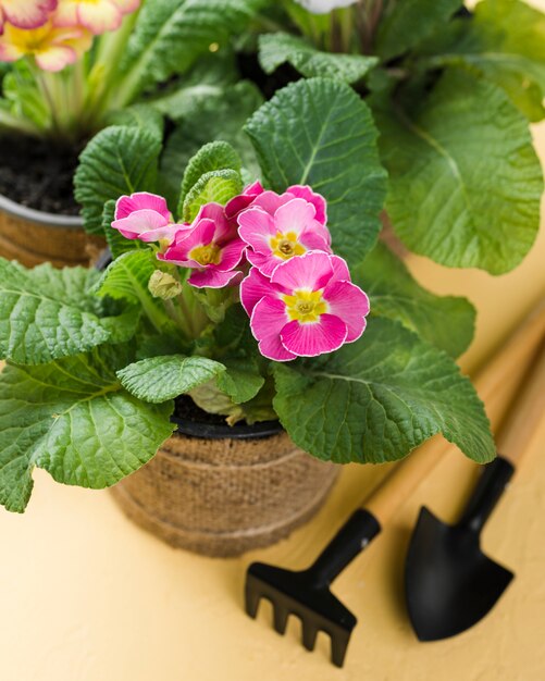 High angle tools beside blooming flower pot