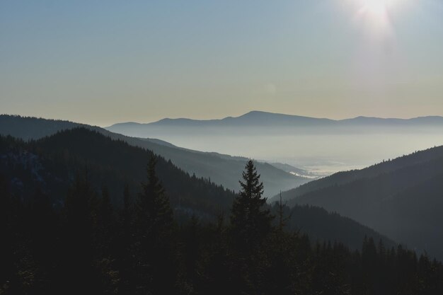 High angle view of a beautiful scenery of a forest in the blurry mountains