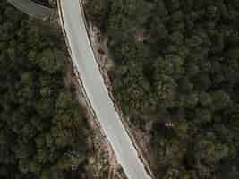 Free photo high angle view of empty road in forest landscape