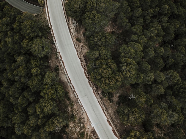 Free Photo high angle view of empty road in forest landscape