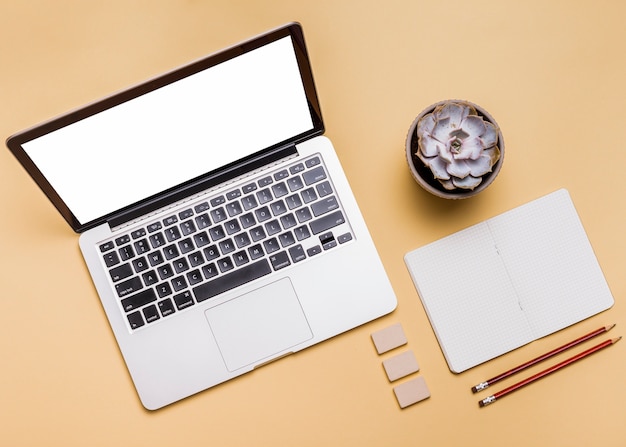 High angle view of laptop; stationeries and succulent plant on bright background