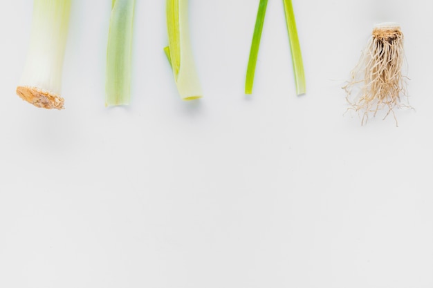 High angle view of leek on white background