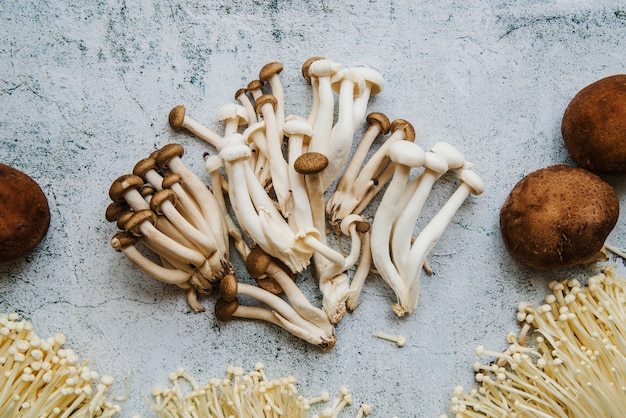 Free Photo high angle view of mushrooms on floor