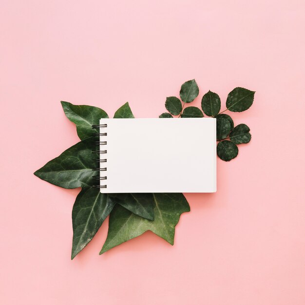 High angle view of notepad over tropical leaved on pink background