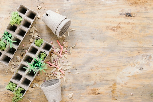 Free Photo high angle view of peat pot; peat tray; small plant; chalk; seeds above wooden table