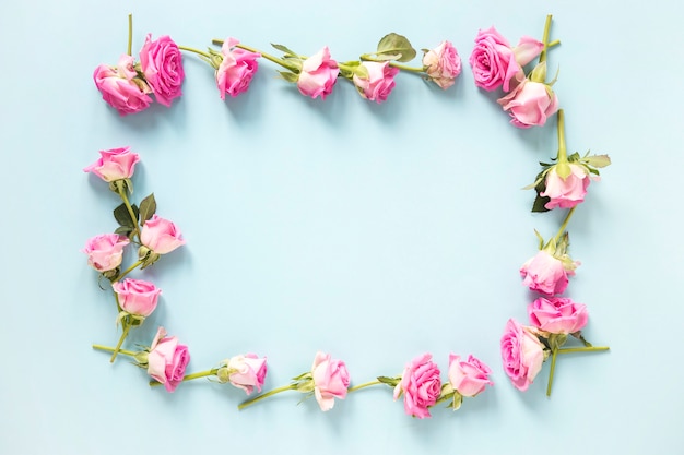 High angle view of pink roses forming frame on blue backdrop