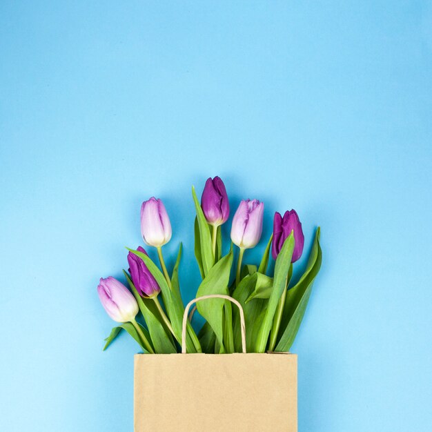 High angle view of purple tulip flowers on brown bag against blue backdrop