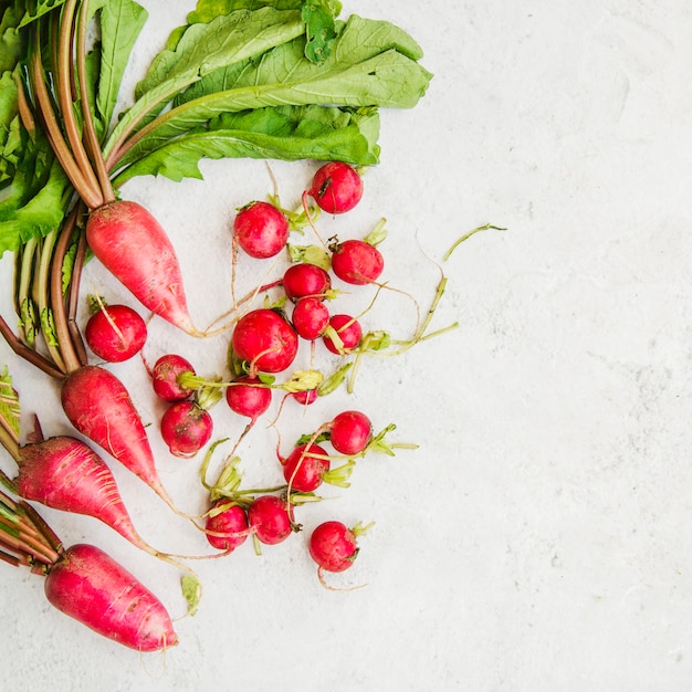 Free photo high angle view of red radish root on marble backdrop