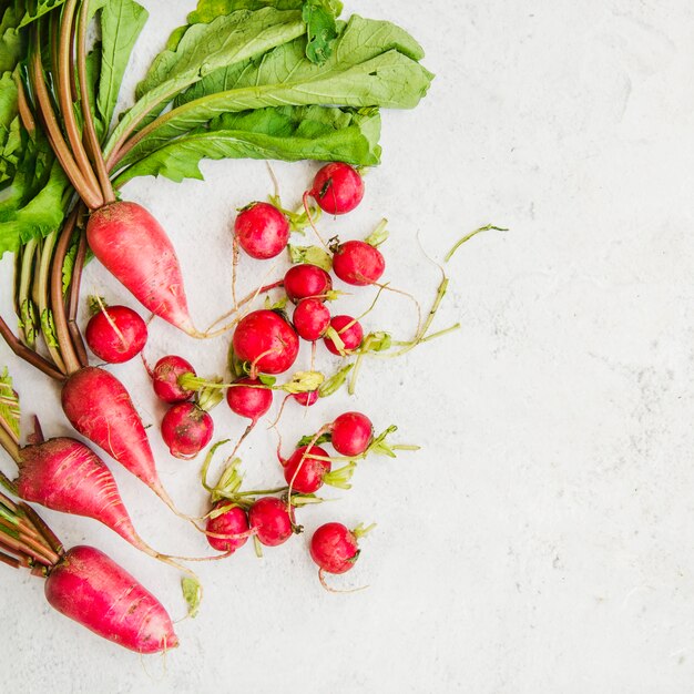 High angle view of red radish root on marble backdrop