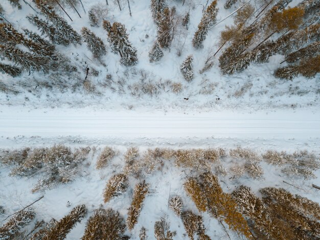 Free photo high angle view of a snow covered road surrounded by trees captured in finland