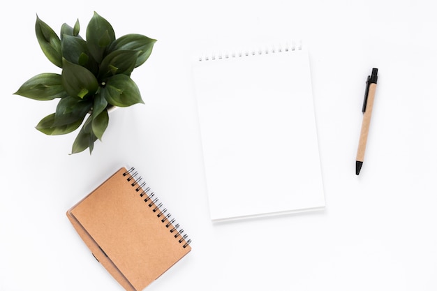 High angle view of spiral notepad; diary; potted plant and pen on white background