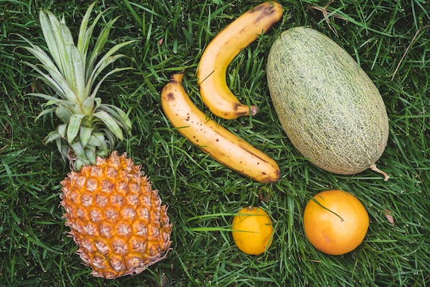 Free Photo high angle view of various fresh fruits on green grass