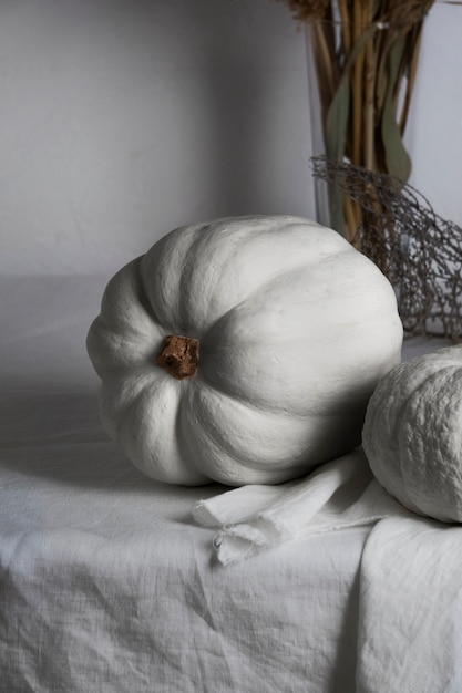 Free photo high angle white pumpkins arrangement