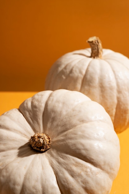 High angle white pumpkins with orange background