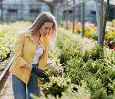 Free photo high angle woman in greenhouse