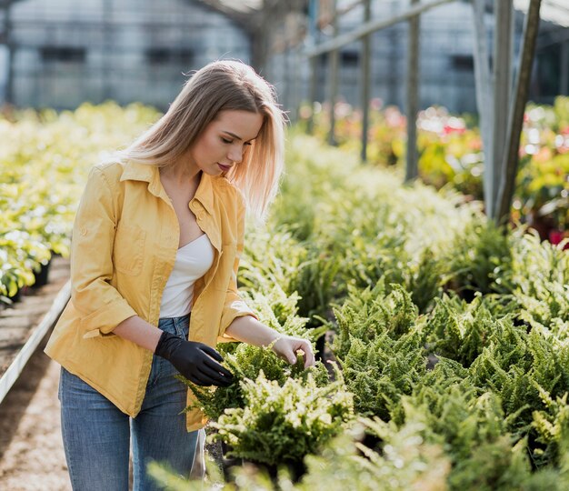 High angle woman in greenhouse