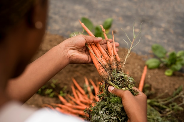 High angle woman holding carrots