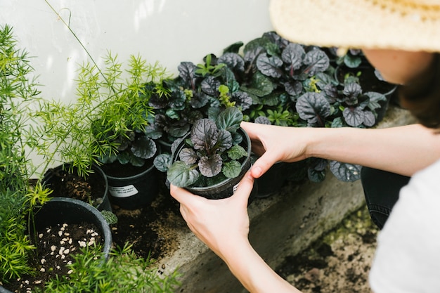 Free photo high angle woman holding a plant