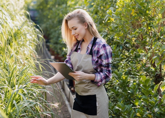 High angle woman working in greenhouse