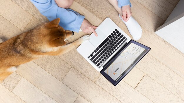 High angle young woman working on her laptop next to her dog