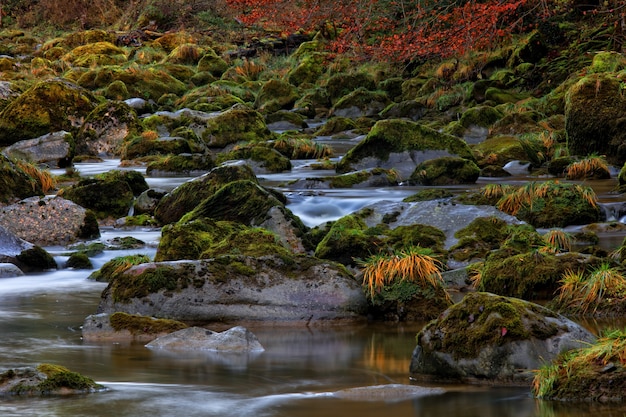 High definition of flowing river on rocky mountain