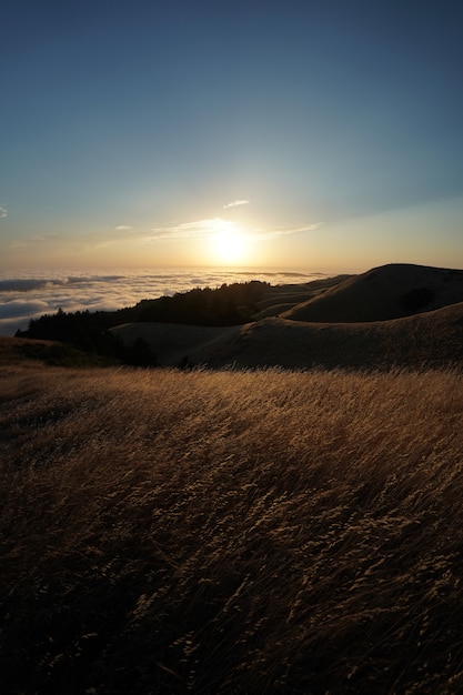 Free Photo high hills covered in dry grass with the visible skyline on mt. tam in marin, ca