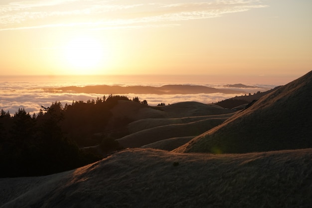 Free Photo high hills with forest and a visible skyline at sunset on mt. tam in marin, ca