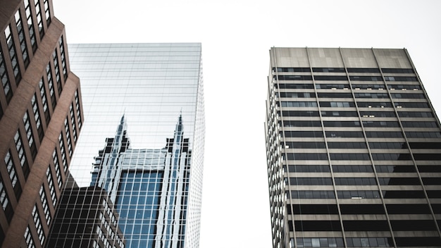 High-rise buildings during daytime