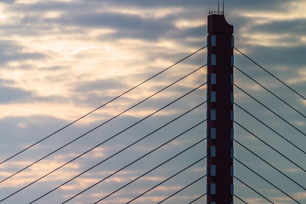 high section of a modern cable stayed bridge on the sky background