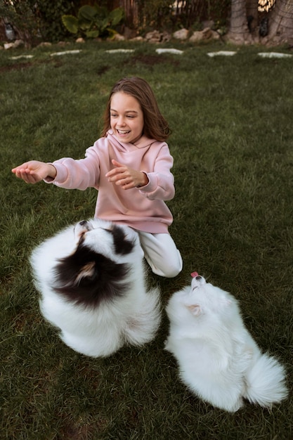 Free Photo high view dogs playing with girl