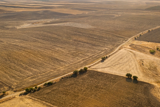 Free photo high view variety of autumn plain taken by drone