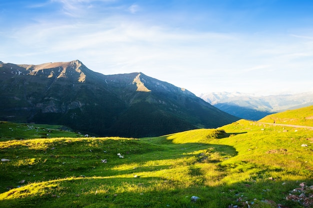 highland meadow at Pyrenees in summer