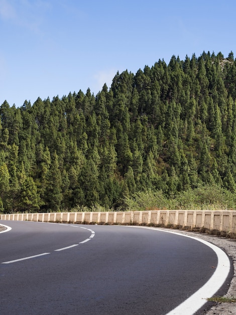 Free photo highway with beautiful trees landscape