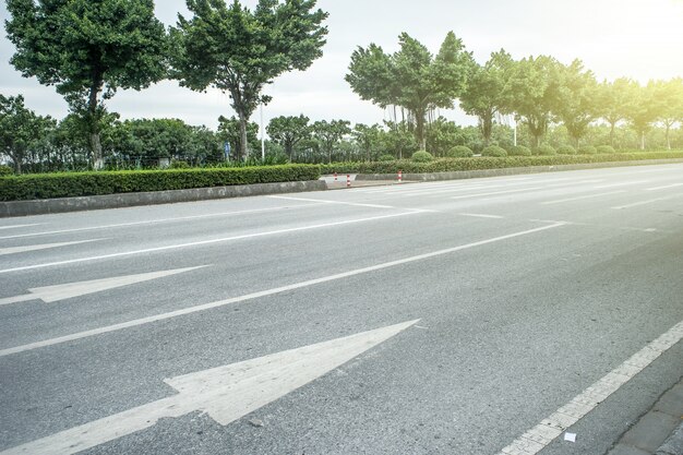 Highway with trees on the side