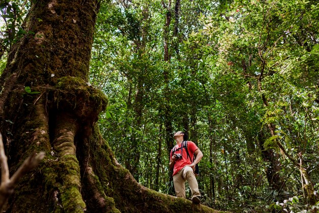 Hiker admiring huge tree