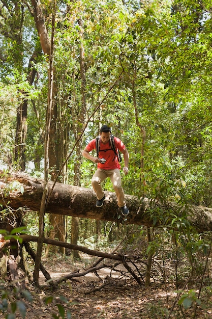 Free Photo hiker climbing over tree trunk