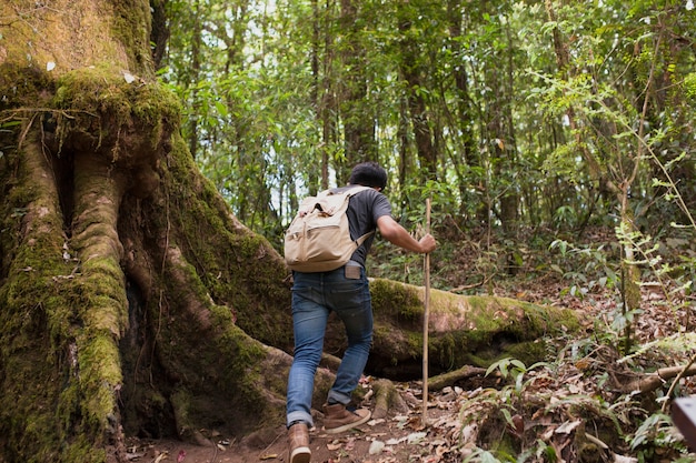 Hiker going uphill