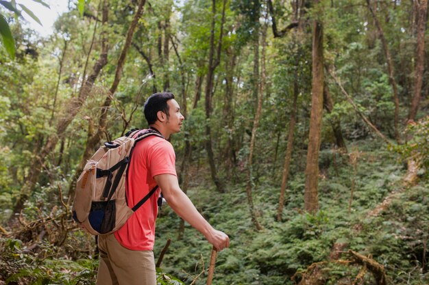 Hiker in jungle