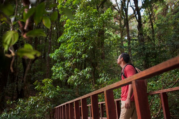 Hiker looking above on a bridge