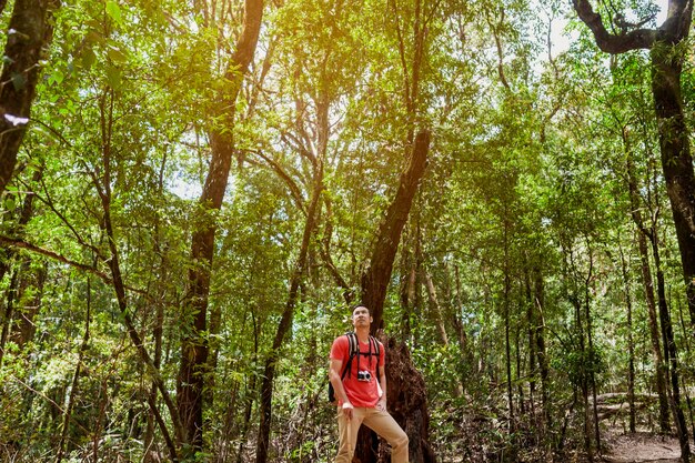 Hiker looking upwards