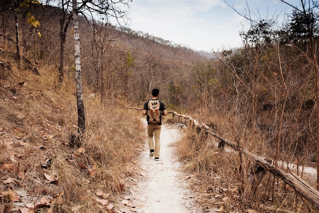 Free photo hiker on path in wilderness